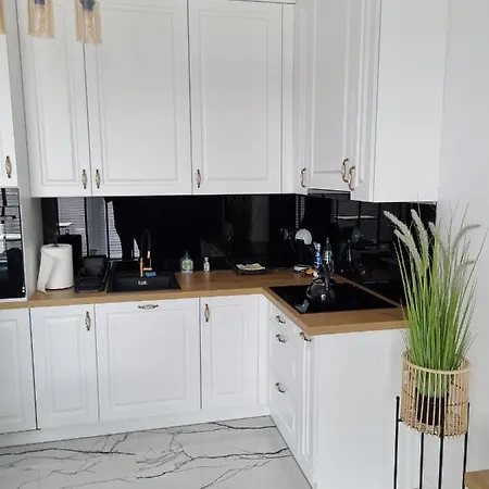 Manusite Apartment Lodz